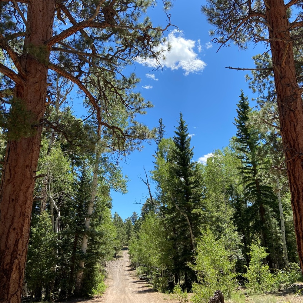 SHARESHARESHARESHARESHARESHARESHARESHARESHARESHARE